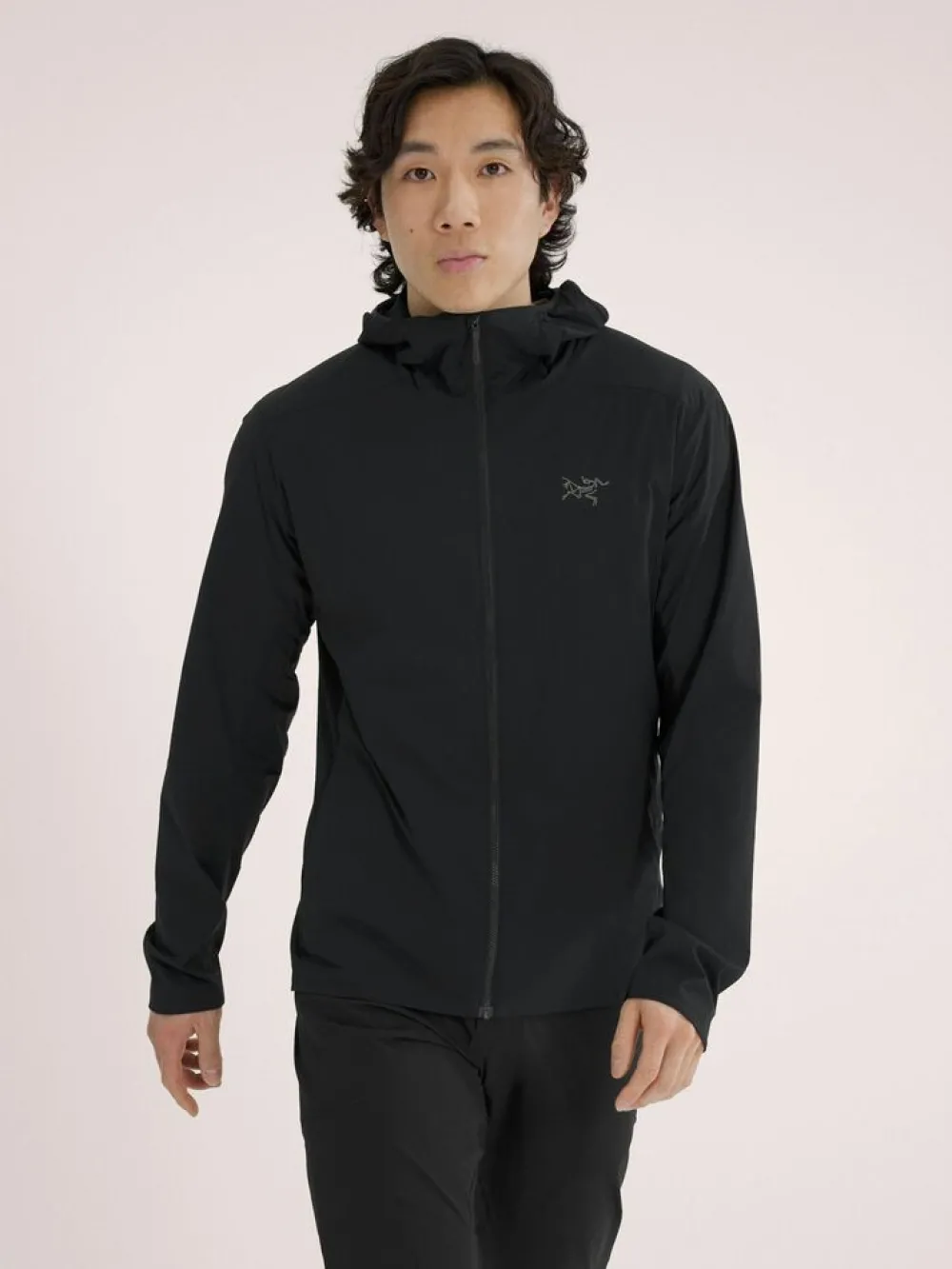 Heren Arcteryx Jassen Heren|Atom SL Hoody M
