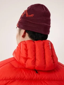 DAMES Arcteryx Handschoenen, Hoofddeksels E.D.|Handschoenen, Hoofddeksels E.D.|Bird head toque