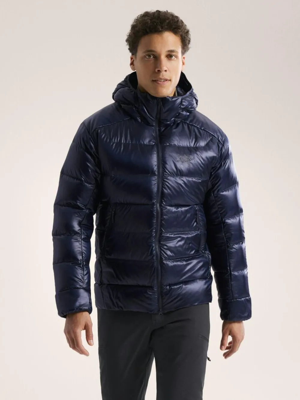 Heren Arcteryx Jassen Heren|Cerium SV hoody M