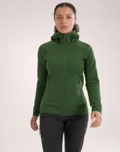 Heren Arcteryx Vesten|Kyanite Hoody W