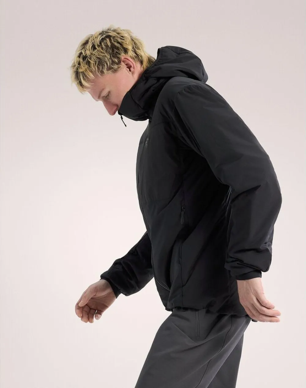 Heren Arcteryx Jassen Heren|Proton Hoody M
