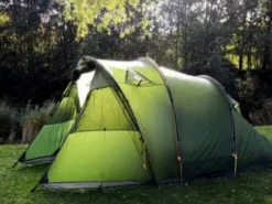 Bach Tenten|Laughing owl willow bough green