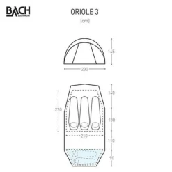 Bach Tenten|Oriole 3 willow bough green