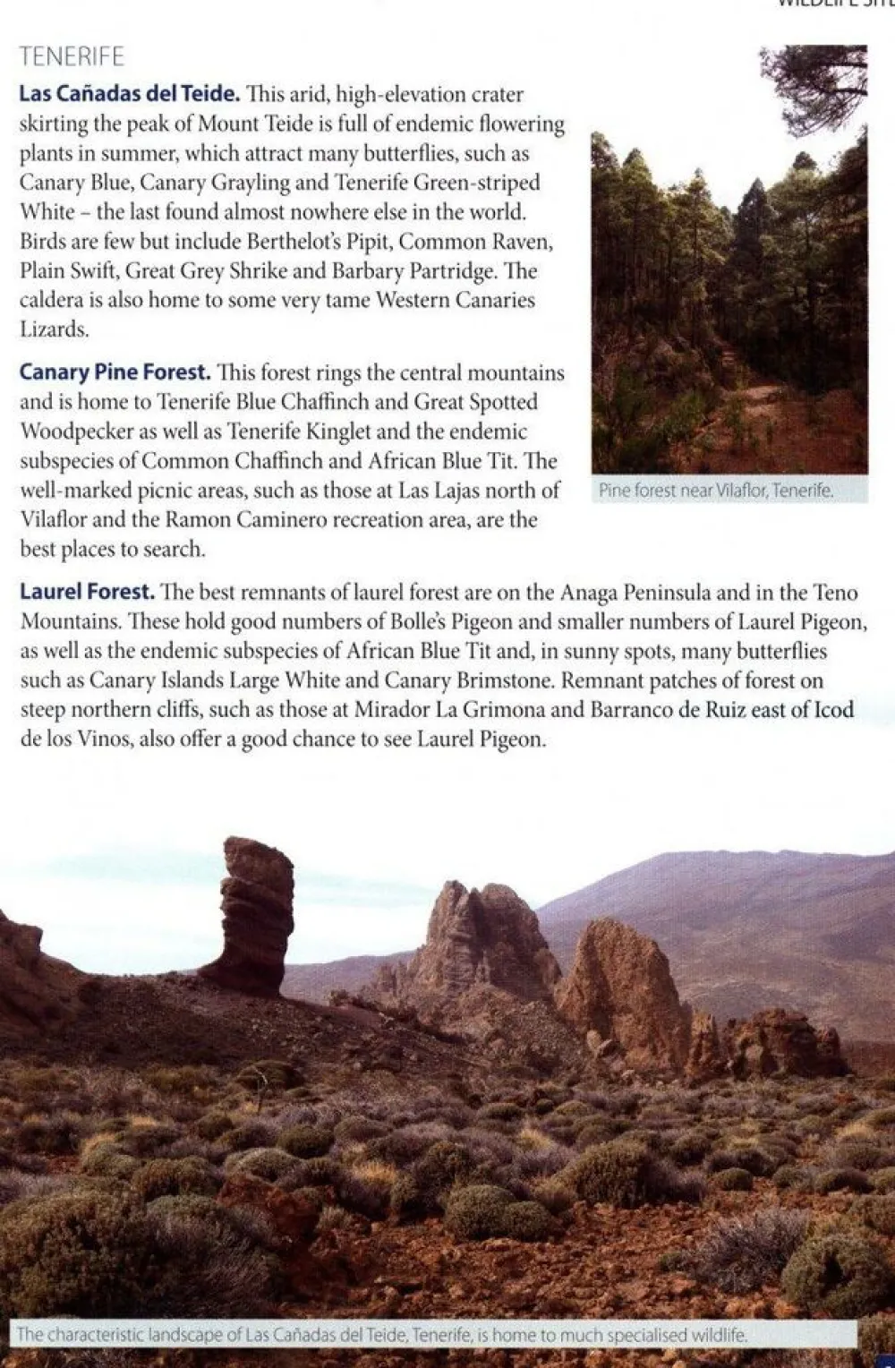 Boeken Overig Natuurgidsen|Spanje & Portugal|Wildlife of Madeira & The Canary Islands