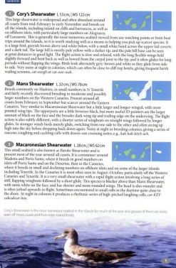 Boeken Overig Natuurgidsen|Spanje & Portugal|Wildlife of Madeira & The Canary Islands