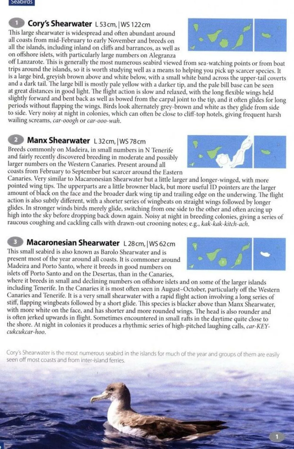 Boeken Overig Natuurgidsen|Spanje & Portugal|Wildlife of Madeira & The Canary Islands