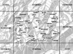 Bundesamt - Swisstopo Zwitserland|Topografische kaart 263 Wildstrubel