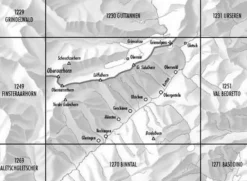 Bundesamt - Swisstopo Zwitserland|Topografische kaart 1250 Ulrichen