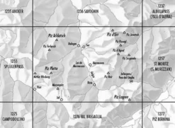 Bundesamt - Swisstopo Zwitserland|Topografische kaart 1256 Bivio