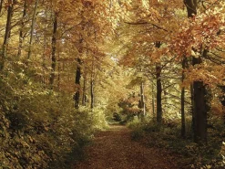 Cicerone Duitsland|Hiking and Cycling in the Black Forest