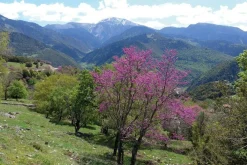 Cicerone Balkan, Griekenland & Cyprus|Wandelgids Trekking in Greece