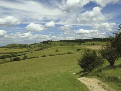 Cicerone Groot-Brittanië & Ierland|Wandelgids Walking in The Chilterns