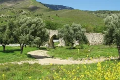 Cicerone Balkan, Griekenland & Cyprus|Wandelgids Walking in Cyprus