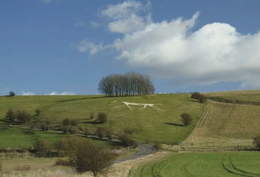 Cicerone Groot-Brittanië & Ierland|Wandelgids Walking The Ridgeway