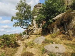 Cicerone Groot-Brittanië & Ierland|Wandelgids Walking in the Peak District - White Peak East