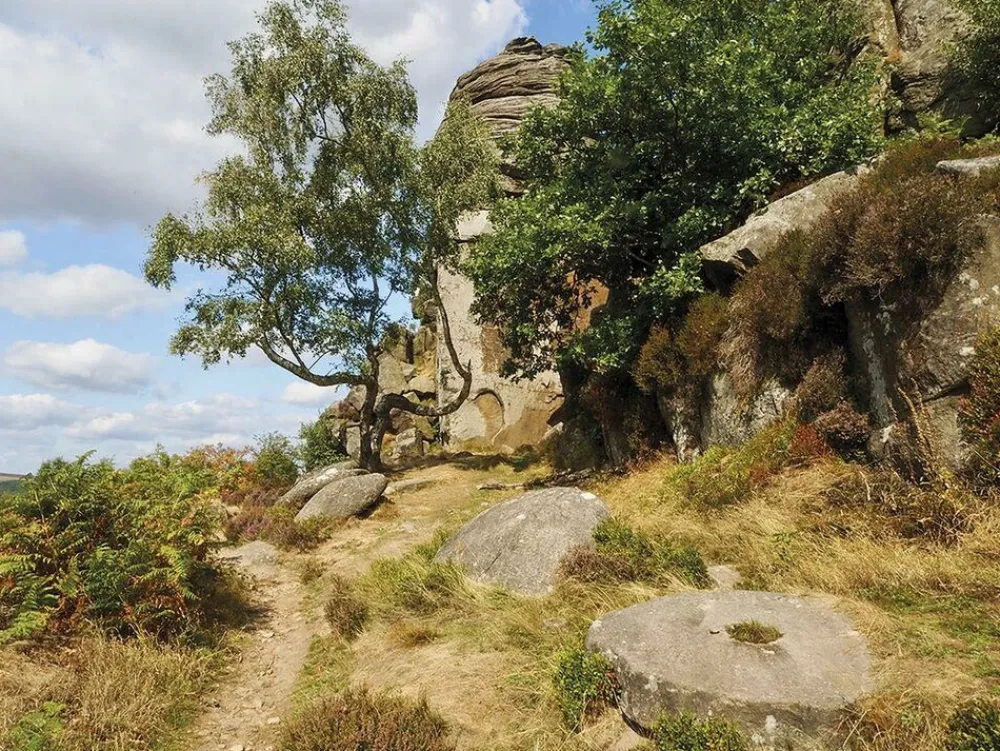 Cicerone Groot-Brittanië & Ierland|Wandelgids Walking in the Peak District - White Peak East
