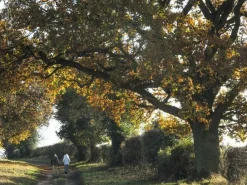 Cicerone Groot-Brittanië & Ierland|Wandelgids Walking in Norfolk