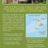 Cicerone Groot-Brittanië & Ierland|Wandelgids Walking in the Isles of Scilly