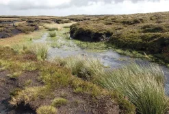 Cicerone Groot-Brittanië & Ierland|Wandelgids Walking The Severn Way