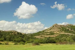 Crossbill Guides Natuurgidsen|Oost-Europa|Eastern Rhopodes