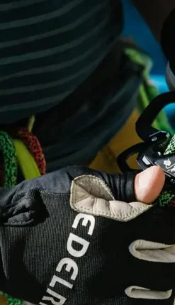 Edelrid Diversen Bergsport|Work Glove Closed II