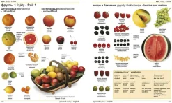 Eyewitness Guides Centraal-Azië|Oost-Europa|Russian English Visual Bilingual Dictionary