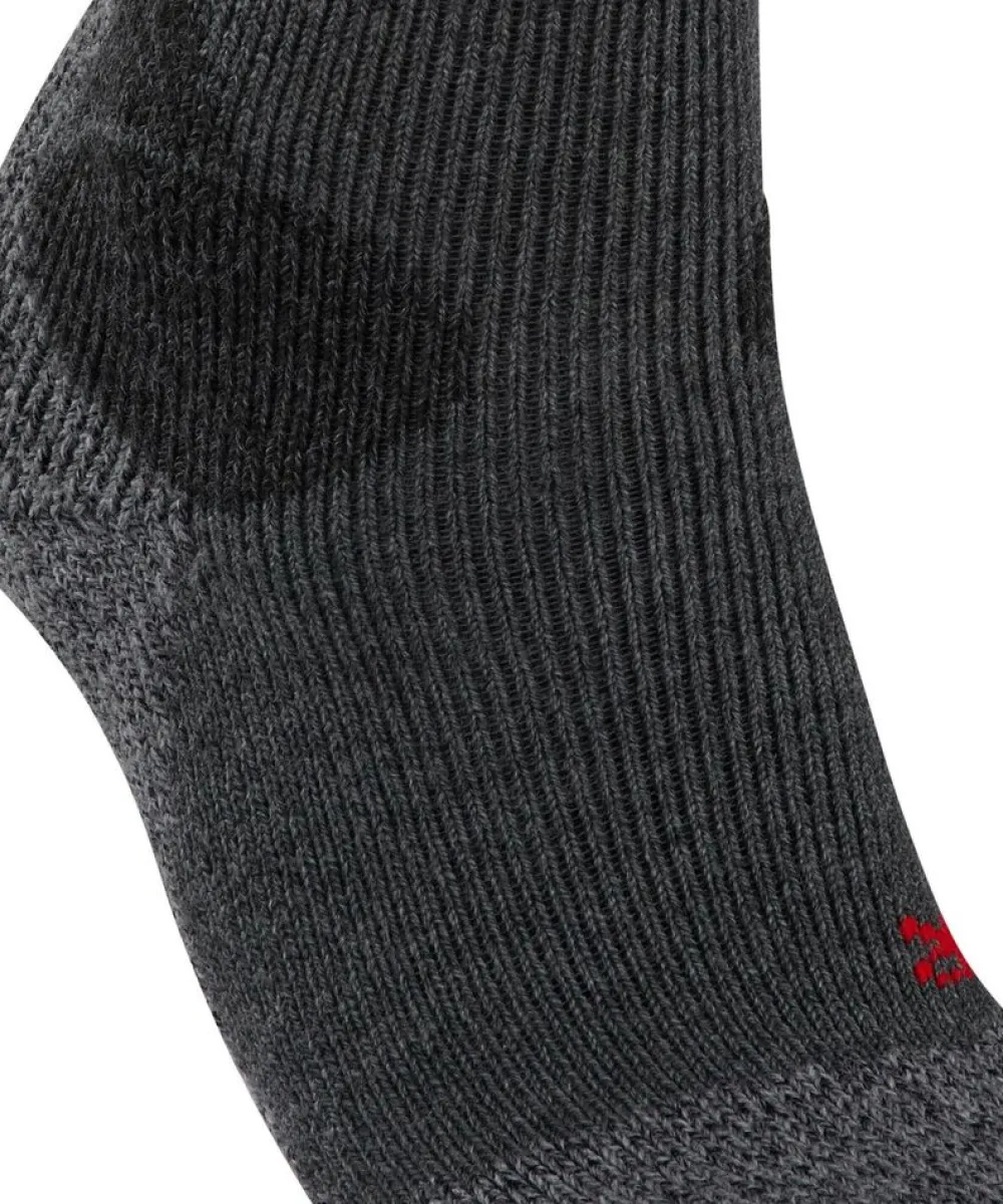 Falke Expeditiesokken|TK X expedition