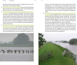 Gegarandeerd Onregelmatig Benelux|De groenste wandelingen in de Randstad