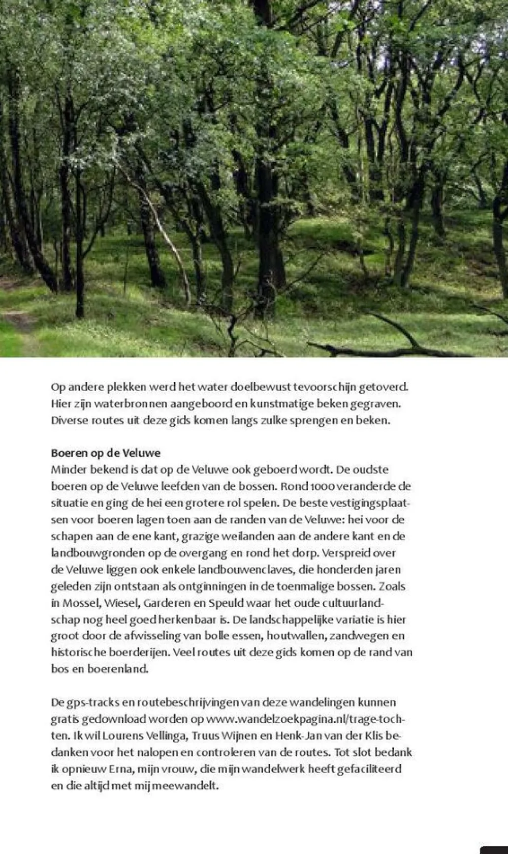 Gegarandeerd Onregelmatig Benelux|Wandelen over de onbekende Veluwe