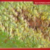 Georelief Maps Wandkaarten & Reliëfkaarten|Duitsland|Reliëf ansichtkaart Bayerische Wald