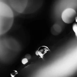 DAMES Grangers Onderhoudsmiddelen|Onderhoudsmiddelen|Wash+Repel Down 2 in 1 300 ML