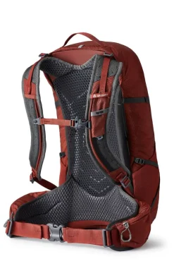 Gregory Dagrugzakken|Citro 24 RC