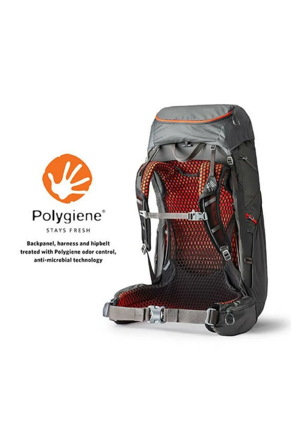 Gregory Dagrugzakken|Facet 45