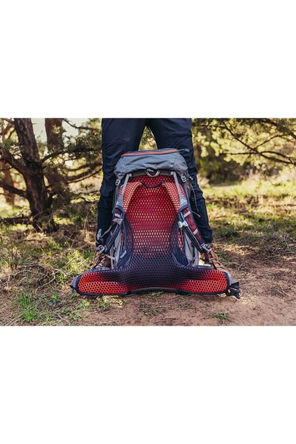 Gregory Dagrugzakken|Facet 45