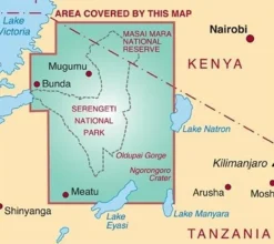 Harvey Maps Afrika|Serengeti Official Map & Visitor Guide