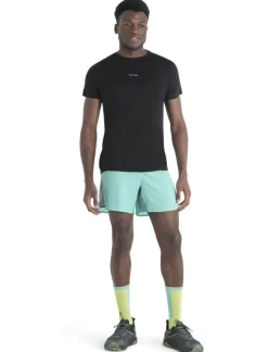 Heren Icebreaker Shirts Heren|M Merino 125 Cool-Lite™ Speed SS Tee