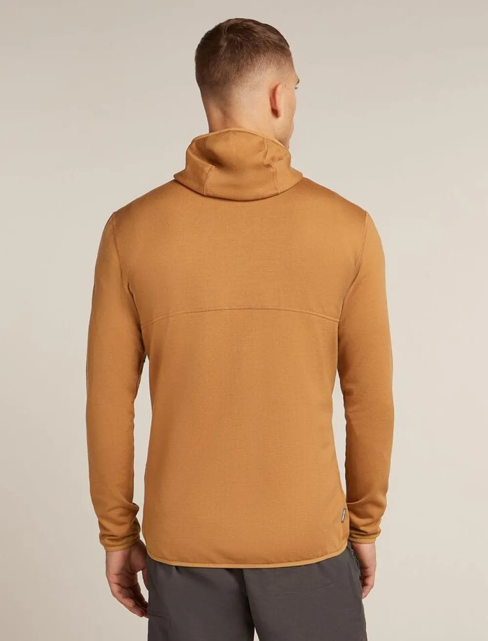 Heren Icebreaker Vesten|M Merino 560 RealFleece Elemental LS Zip Hoodie