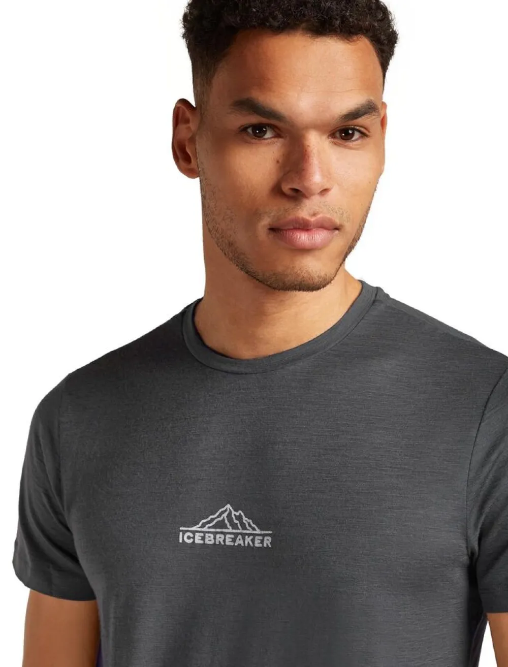 Heren Icebreaker Shirts Heren|M Merino 150 Tech Lite ss Tee Road To Cook