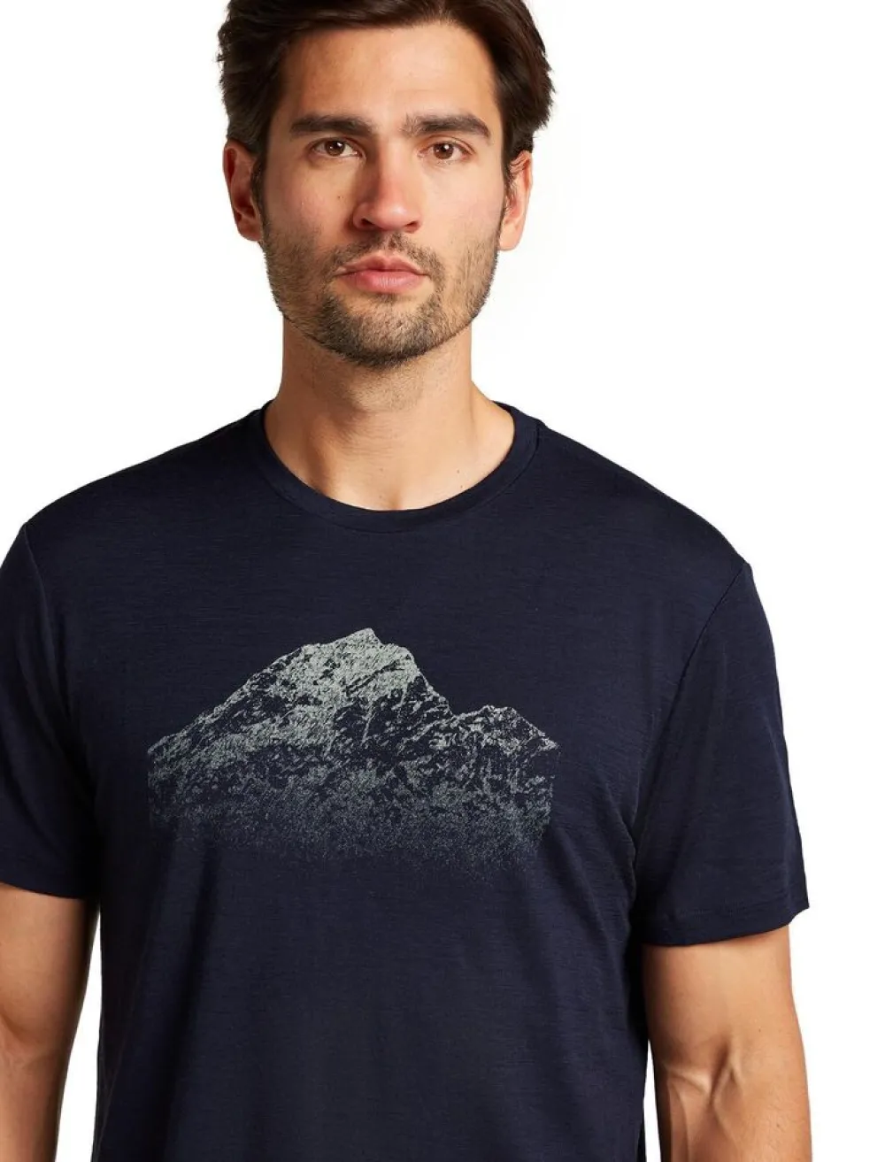 Heren Icebreaker Shirts Heren|M Merino 150 Tech Lite SS T Ris Light