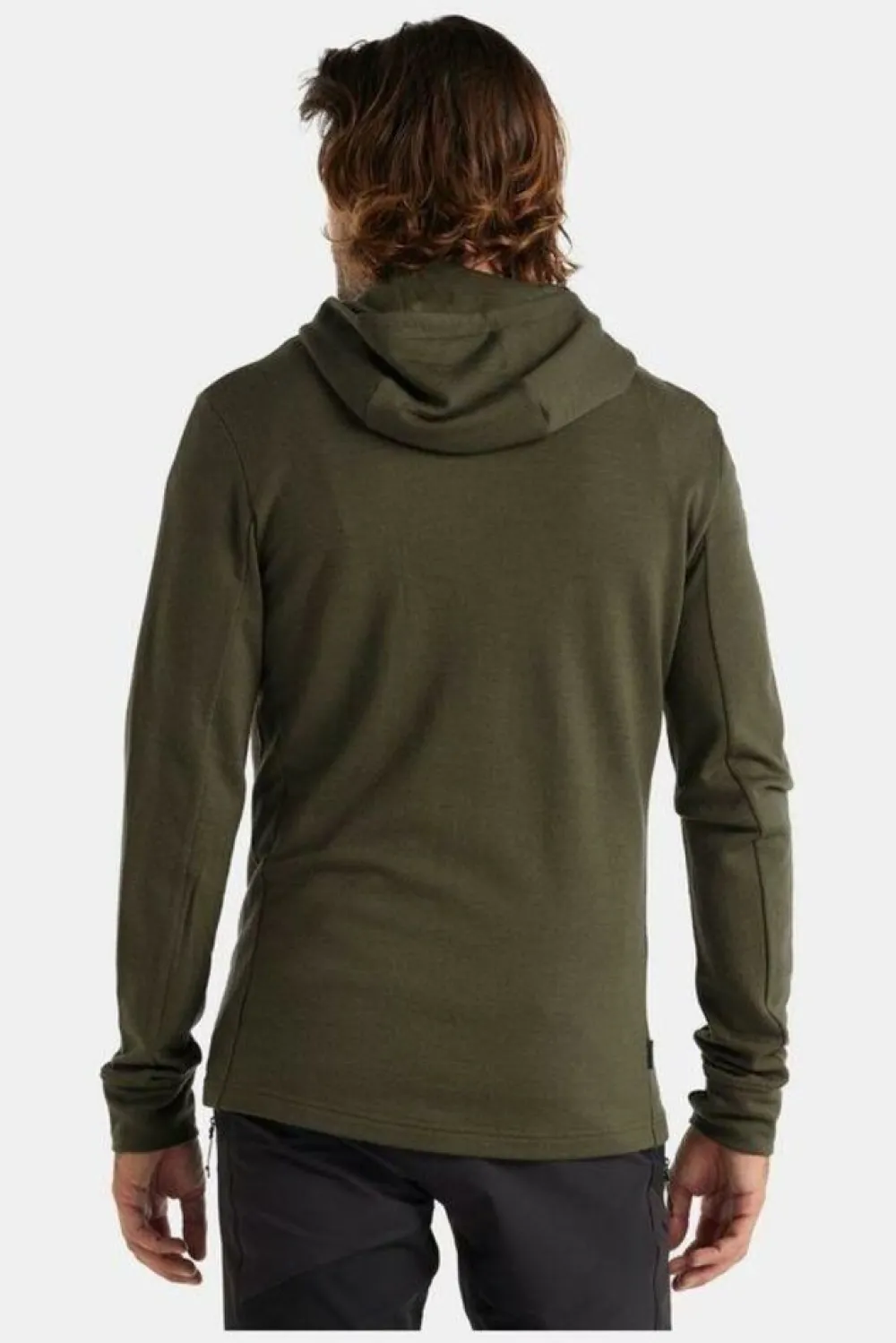 Heren Icebreaker Vesten|M Quantum III LS zip hood