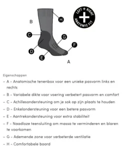 Icebreaker Wandelsokken|Mens Hike+ Heavy Crew