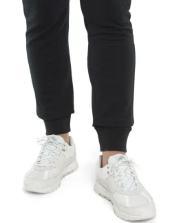 DAMES Icebreaker Broeken Dames|W mer crush II pants