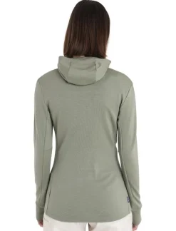 DAMES Icebreaker Vesten|W Merino 260 Quantum IV LS zip hoodie