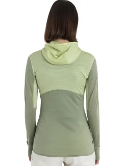 DAMES Icebreaker Vesten|W Merino 200 Realfleece Descender LS zip hoodie