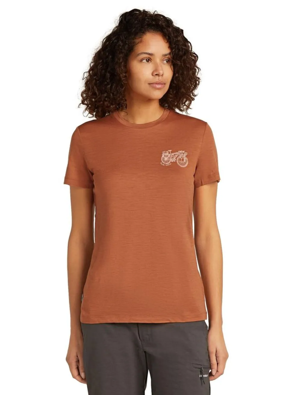 DAMES Icebreaker Shirts Dames|W Merino 150 Tech Lite ss Tee Adventure Ride