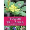 John Beaufoy Zuid-Azië|Guide to the Flowers of Sri Lanka