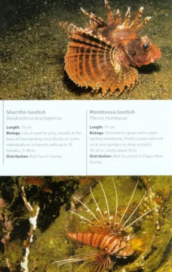 John Beaufoy Zuidoost-Azië|Afrika|Tropical Marine Life of the Indo-Pacific Region