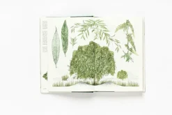 Laurence King Natuurgidsen|Around the World in 80 trees
