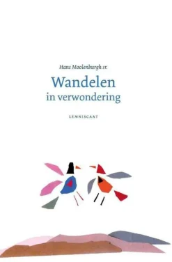 Lemniscaat Natuurgidsen|Wandelen in Verwondering