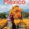 Lonely Planet Mexico|Mexico 19